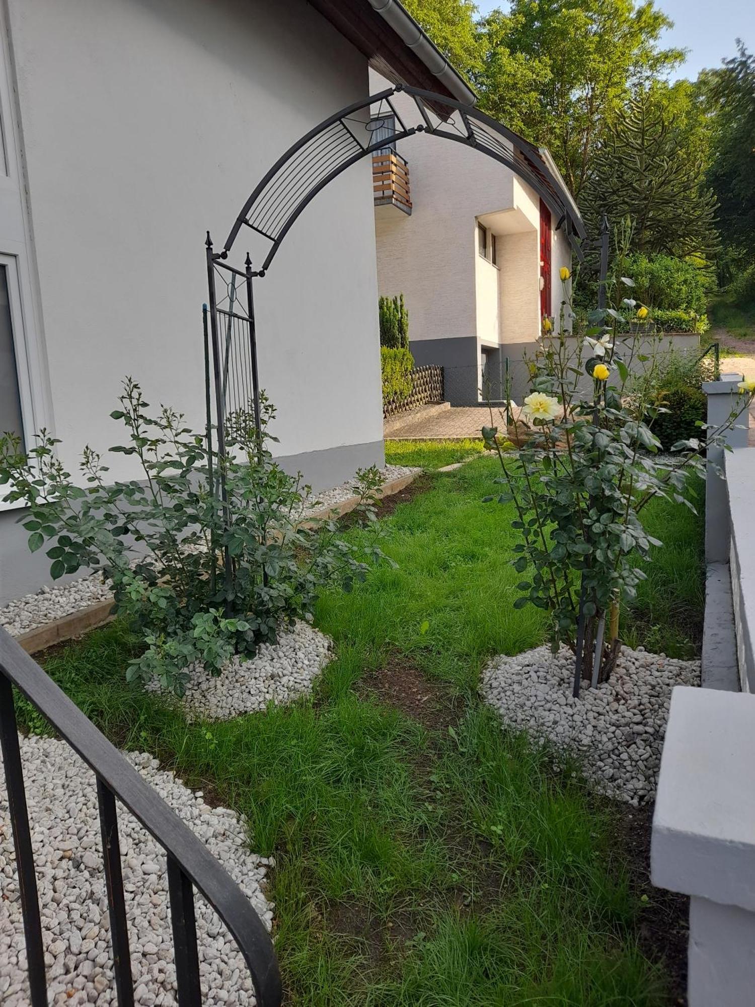 Gästezimmer Bernkastel - Gästehaus Barbara Exterior foto